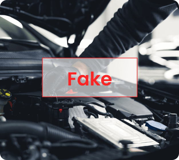 Fake Service History